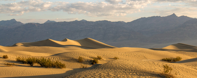 mesquite-death-valley-sand-dunes-hillaryfox