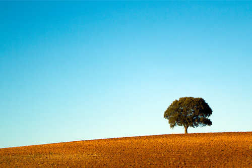 Traveling Light: Finding Meaning in Minimalism